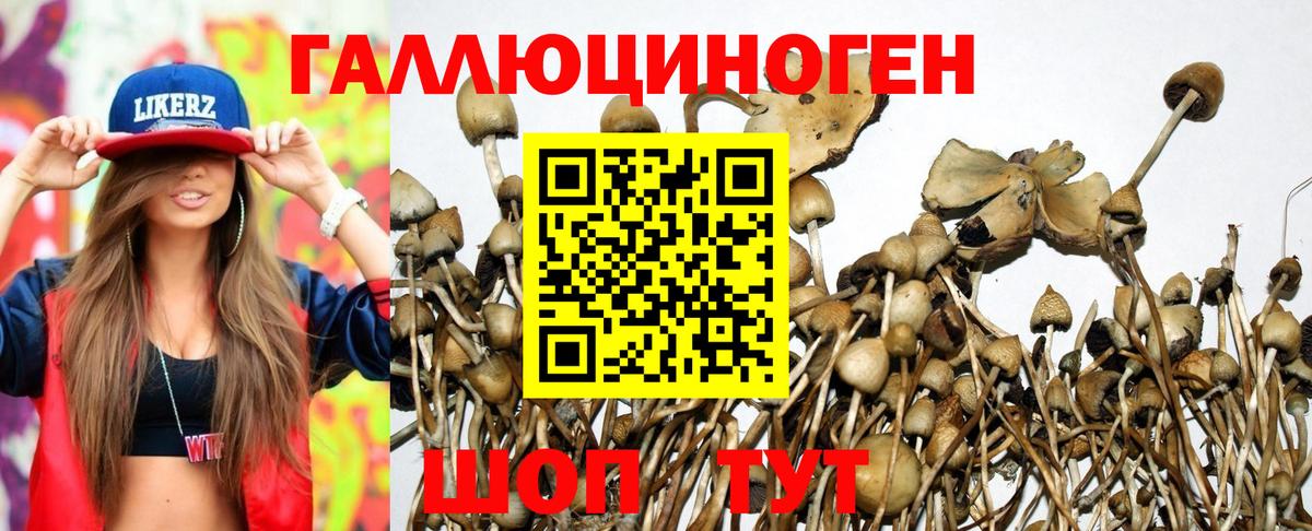 Галлюциногенные грибы мицелий  Вход с VPN  Псилоцибиновые грибы GOLDEN TEACHER  купить наркотик  Рубцовск 