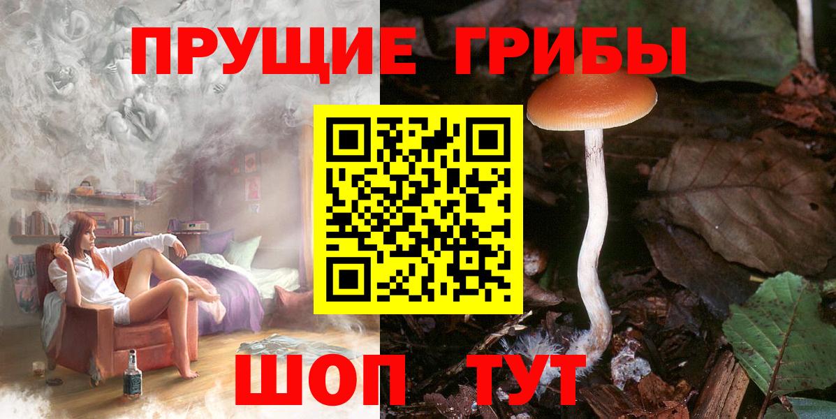 Псилоцибиновые грибы мицелий Рубцовск