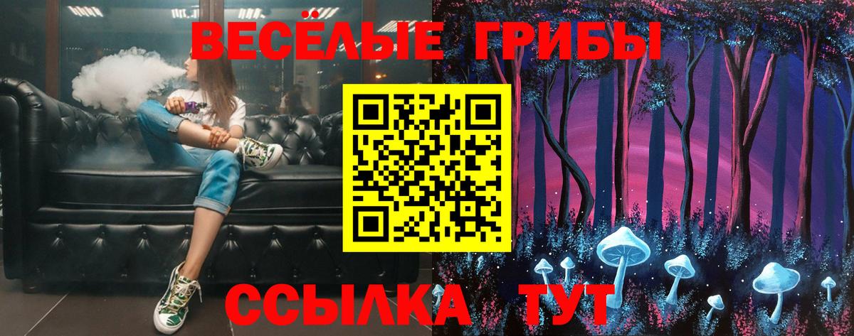 Рубцовск  ЭКСТАЗИ  Меф МЯУ МЯУ   ГАШ  Вход с VPN  APVP СК   Каннабис 